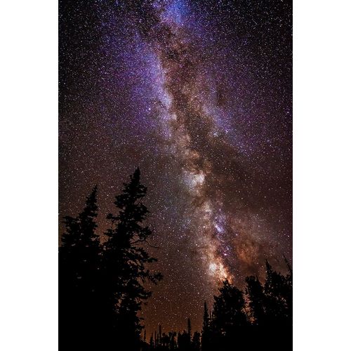 Bishop, Russ 아티스트의 Milky Way over Cedar Breaks National Monument-Utah-USA작품입니다.